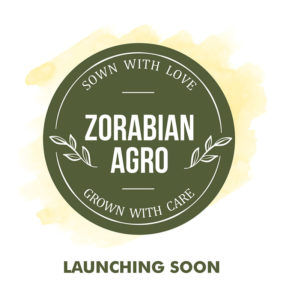 Zorabian Agro Zorabian Agro - Antibiotic free - Hormone Free - Zorabian Chicken - Order Fresh Chicken Online