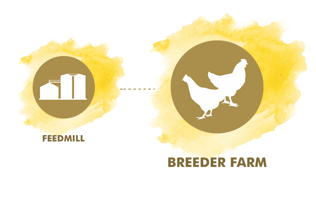 Breeder Farm
