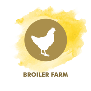 Broiler Farm