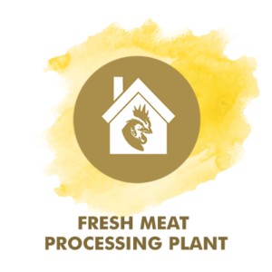 Fresh Meat Processing Plant